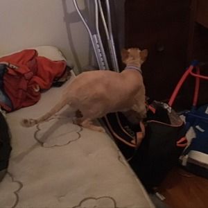 Meet your Posher, Logan